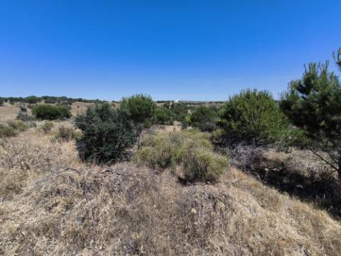 TERRENO RUSTICO COM 13.790 M2 - VISTA MAR - COM POÇO - PRÓXMO AO GOLFE - EM VILA NOVA DE CACELA - VRSA - ALGARVE