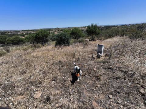 TERRENO RUSTICO COM 13.790 M2 - VISTA MAR - COM POÇO - PRÓXMO AO GOLFE - EM VILA NOVA DE CACELA - VRSA - ALGARVE