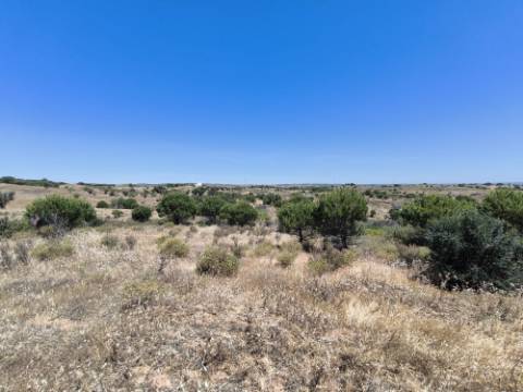 TERRENO RUSTICO COM 13.790 M2 - VISTA MAR - COM POÇO - PRÓXMO AO GOLFE - EM VILA NOVA DE CACELA - VRSA - ALGARVE