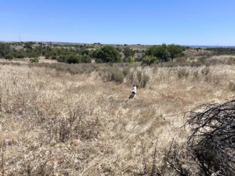 TERRENO RUSTICO COM 13.790 M2 - VISTA MAR - COM POÇO - PRÓXMO AO GOLFE - EM VILA NOVA DE CACELA - VRSA - ALGARVE
