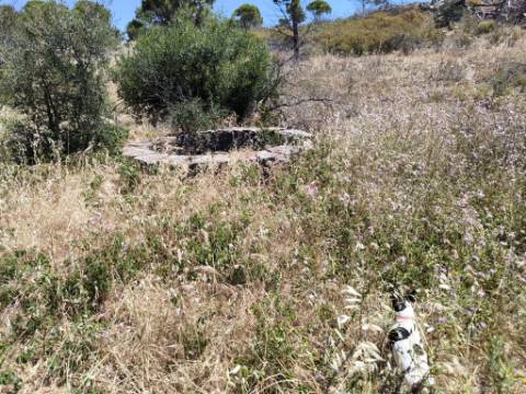 TERRENO RUSTICO COM 13.790 M2 - VISTA MAR - COM POÇO - PRÓXMO AO GOLFE - EM VILA NOVA DE CACELA - VRSA - ALGARVE