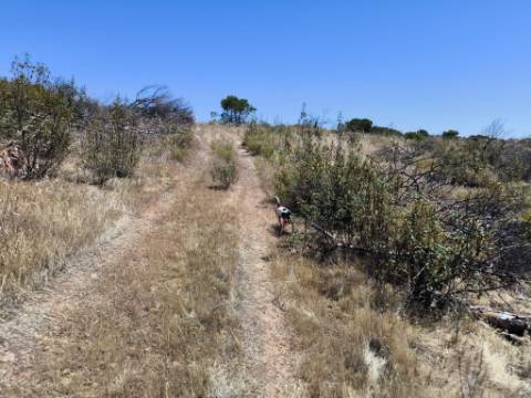 TERRENO RUSTICO COM 13.790 M2 - VISTA MAR - COM POÇO - PRÓXMO AO GOLFE - EM VILA NOVA DE CACELA - VRSA - ALGARVE