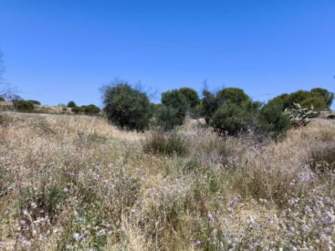 TERRENO RUSTICO COM 13.790 M2 - VISTA MAR - COM POÇO - PRÓXMO AO GOLFE - EM VILA NOVA DE CACELA - VRSA - ALGARVE