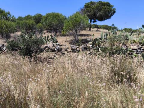 TERRENO RUSTICO COM 13.790 M2 - VISTA MAR - COM POÇO - PRÓXMO AO GOLFE - EM VILA NOVA DE CACELA - VRSA - ALGARVE