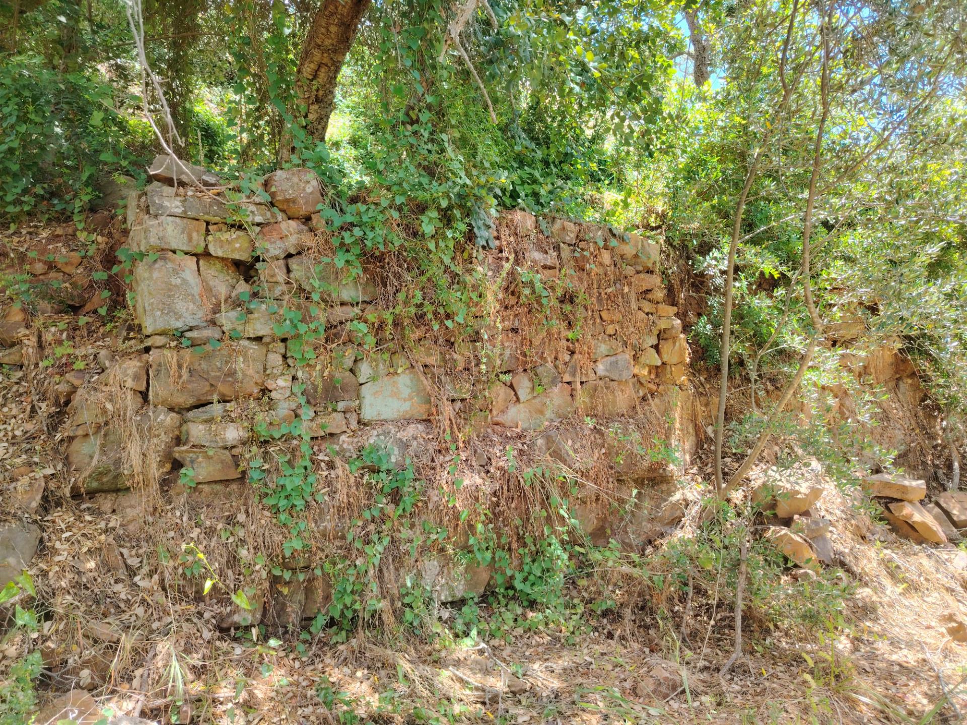 Terreno Rústico com bons acessos, Santa Catarina da Fonte do Bispo