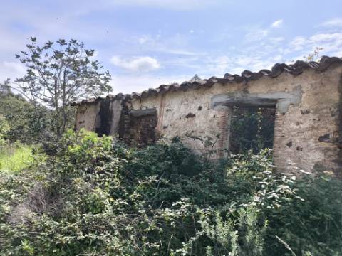 MORADIA T2 - COM TERRENO DE 3628 M2 - CONFRONTA COM RIBEIRO - EM RUÍNAS NO CURAL DA PEDRA - JUNTO AO RIBEIRO - TAVIRA - ALGARVE