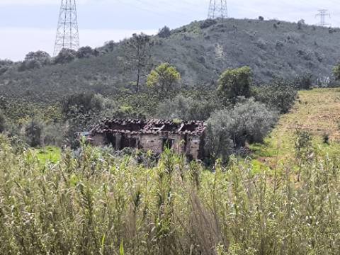 MORADIA T2 - COM TERRENO DE 3628 M2 - CONFRONTA COM RIBEIRO - EM RUÍNAS NO CURAL DA PEDRA - JUNTO AO RIBEIRO - TAVIRA - ALGARVE