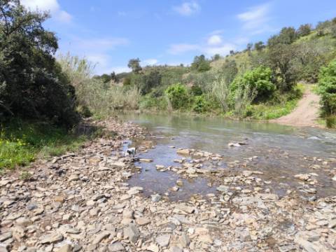 MORADIA T2 - COM TERRENO DE 3628 M2 - CONFRONTA COM RIBEIRO - EM RUÍNAS NO CURAL DA PEDRA - JUNTO AO RIBEIRO - TAVIRA - ALGARVE