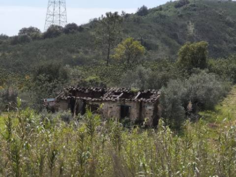 MORADIA T2 - COM TERRENO DE 3628 M2 - CONFRONTA COM RIBEIRO - EM RUÍNAS NO CURAL DA PEDRA - JUNTO AO RIBEIRO - TAVIRA - ALGARVE