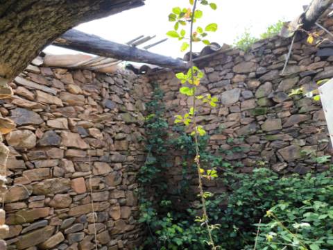 MORADIA T2 - COM TERRENO DE 3628 M2 - CONFRONTA COM RIBEIRO - EM RUÍNAS NO CURAL DA PEDRA - JUNTO AO RIBEIRO - TAVIRA - ALGARVE