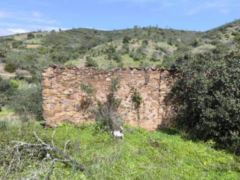 MORADIA T2 - COM TERRENO DE 3628 M2 - CONFRONTA COM RIBEIRO - EM RUÍNAS NO CURAL DA PEDRA - JUNTO AO RIBEIRO - TAVIRA - ALGARVE