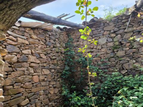 MORADIA T2 - COM TERRENO DE 3628 M2 - CONFRONTA COM RIBEIRO - EM RUÍNAS NO CURAL DA PEDRA - JUNTO AO RIBEIRO - TAVIRA - ALGARVE