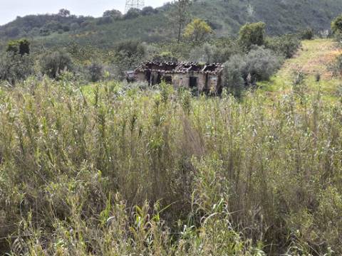 MORADIA T2 - COM TERRENO DE 3628 M2 - CONFRONTA COM RIBEIRO - EM RUÍNAS NO CURAL DA PEDRA - JUNTO AO RIBEIRO - TAVIRA - ALGARVE