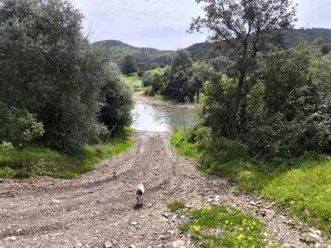 MORADIA T2 - COM TERRENO DE 3628 M2 - CONFRONTA COM RIBEIRO - EM RUÍNAS NO CURAL DA PEDRA - JUNTO AO RIBEIRO - TAVIRA - ALGARVE