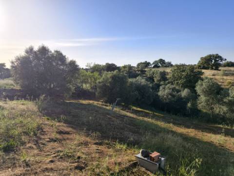 TERRENO URBANO - COM 1580 - COM ARMAZEM 260 M2 - PARA CONSTRUÇÃO DE MORADIA E OU TURISMO - CORTE NOVA - ODELEITE - CASTRO MARIM - ALGARVE