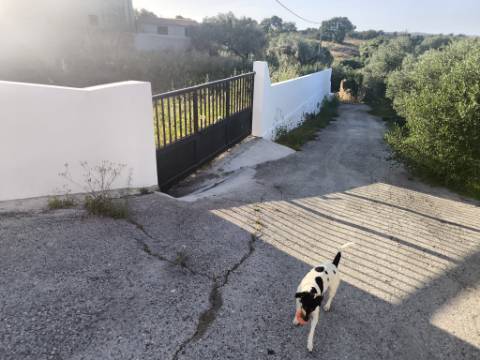 TERRENO URBANO - COM 1580 - COM ARMAZEM 260 M2 - PARA CONSTRUÇÃO DE MORADIA E OU TURISMO - CORTE NOVA - ODELEITE - CASTRO MARIM - ALGARVE