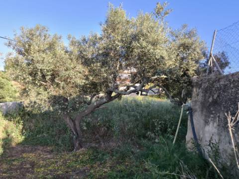 TERRENO URBANO - COM 1580 - COM ARMAZEM 260 M2 - PARA CONSTRUÇÃO DE MORADIA E OU TURISMO - CORTE NOVA - ODELEITE - CASTRO MARIM - ALGARVE