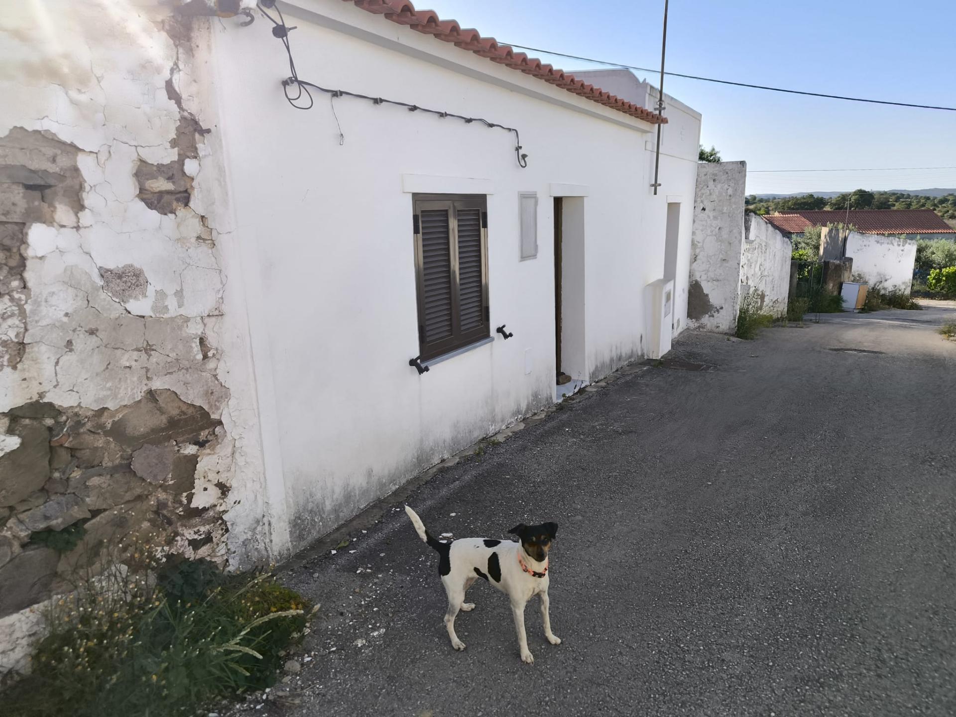 MORADIA COM JARDIM - EM CORTE NOVA - ODELEITE - CASTRO MARIM - ALGARVE