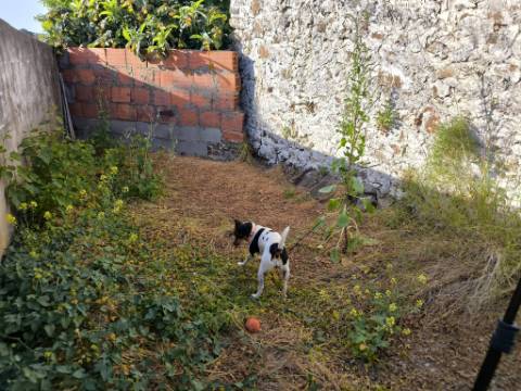 MORADIA COM JARDIM - EM CORTE NOVA - ODELEITE - CASTRO MARIM - ALGARVE