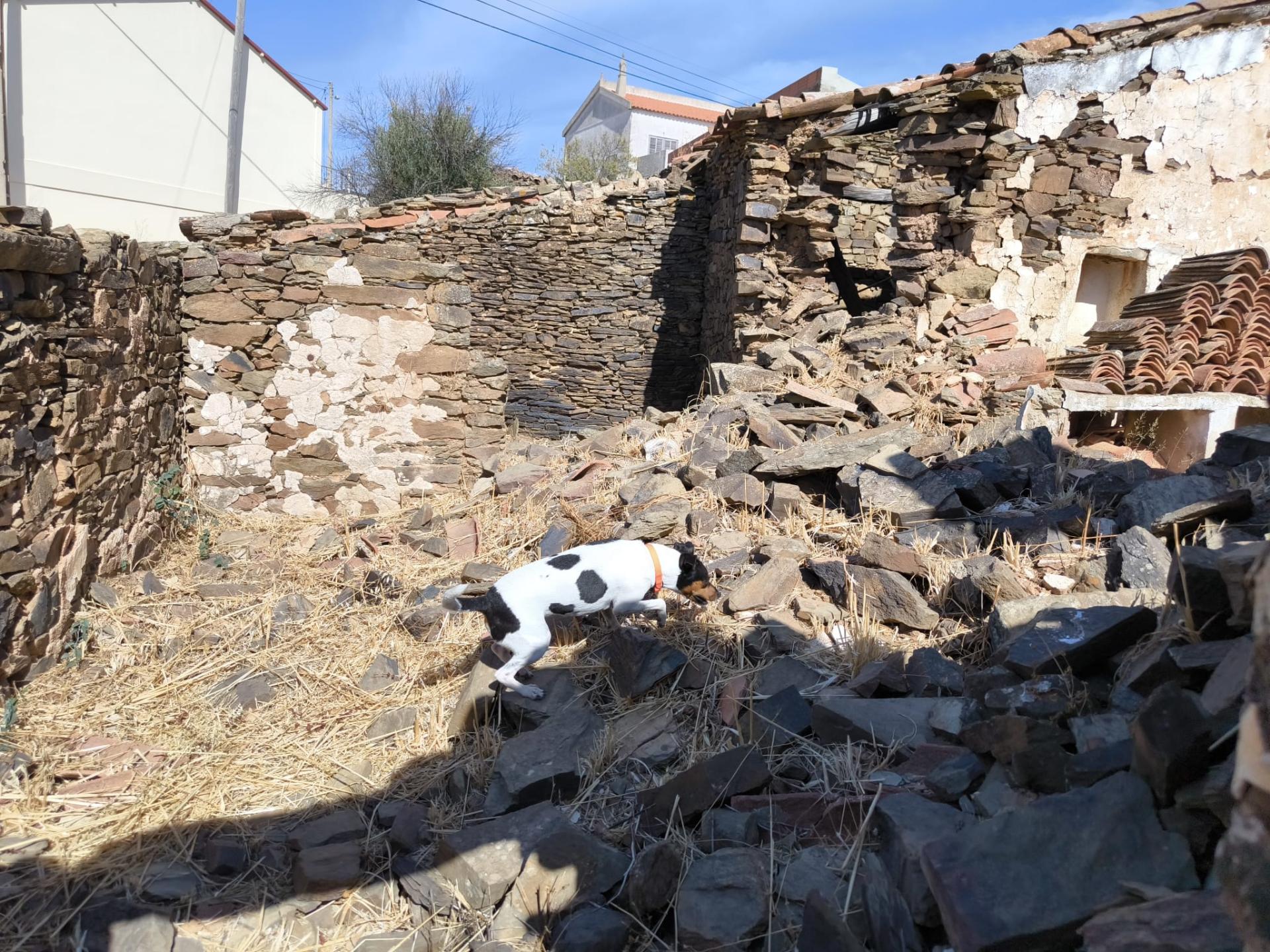 MORADIA EM PEDRA - COM TERRENO DE 200 M2 - COM PROJECTO - FAZ-FATO - TAVIRA - ALGARVE