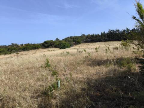 MORADIA COM PISCINA - COM TERRENO DE 19.860 M² - VISTA MAR - COM FURO - SISTEMA DE REGA - EM SÃO BARTOLOMEU - A POUCOS MINUTOS DA PRAIA VERDE - CASTRO MARIM - ALGARVE