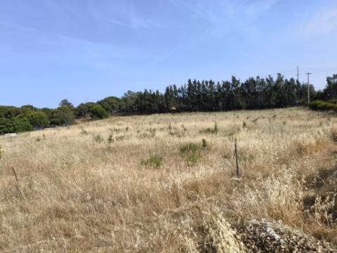 MORADIA COM PISCINA - COM TERRENO DE 19.860 M² - VISTA MAR - COM FURO - SISTEMA DE REGA - EM SÃO BARTOLOMEU - A POUCOS MINUTOS DA PRAIA VERDE - CASTRO MARIM - ALGARVE