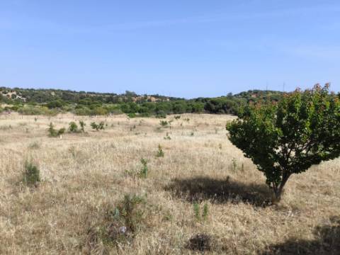 MORADIA COM PISCINA - COM TERRENO DE 19.860 M² - VISTA MAR - COM FURO - SISTEMA DE REGA - EM SÃO BARTOLOMEU - A POUCOS MINUTOS DA PRAIA VERDE - CASTRO MARIM - ALGARVE