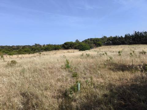 MORADIA COM PISCINA - COM TERRENO DE 19.860 M² - VISTA MAR - COM FURO - SISTEMA DE REGA - EM SÃO BARTOLOMEU - A POUCOS MINUTOS DA PRAIA VERDE - CASTRO MARIM - ALGARVE