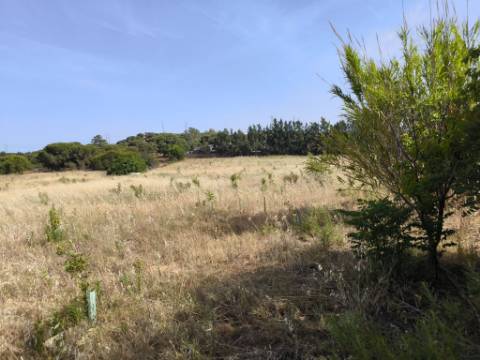 MORADIA COM PISCINA - COM TERRENO DE 19.860 M² - VISTA MAR - COM FURO - SISTEMA DE REGA - EM SÃO BARTOLOMEU - A POUCOS MINUTOS DA PRAIA VERDE - CASTRO MARIM - ALGARVE