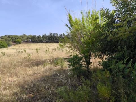 MORADIA COM PISCINA - COM TERRENO DE 19.860 M² - VISTA MAR - COM FURO - SISTEMA DE REGA - EM SÃO BARTOLOMEU - A POUCOS MINUTOS DA PRAIA VERDE - CASTRO MARIM - ALGARVE