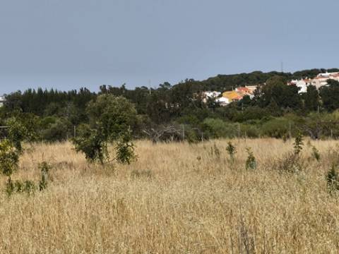 MORADIA COM PISCINA - COM TERRENO DE 19.860 M² - VISTA MAR - COM FURO - SISTEMA DE REGA - EM SÃO BARTOLOMEU - A POUCOS MINUTOS DA PRAIA VERDE - CASTRO MARIM - ALGARVE