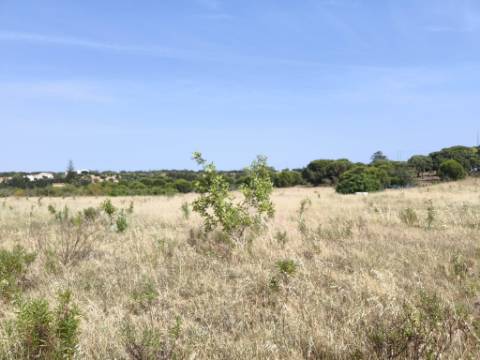 MORADIA COM PISCINA - COM TERRENO DE 19.860 M² - VISTA MAR - COM FURO - SISTEMA DE REGA - EM SÃO BARTOLOMEU - A POUCOS MINUTOS DA PRAIA VERDE - CASTRO MARIM - ALGARVE