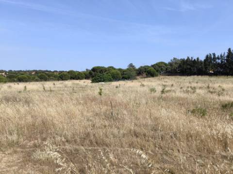 MORADIA COM PISCINA - COM TERRENO DE 19.860 M² - VISTA MAR - COM FURO - SISTEMA DE REGA - EM SÃO BARTOLOMEU - A POUCOS MINUTOS DA PRAIA VERDE - CASTRO MARIM - ALGARVE