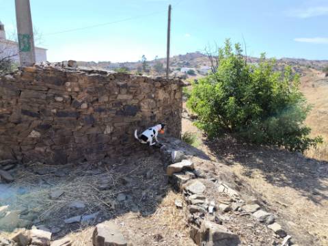 MORADIA EM PEDRA - COM TERRENO DE 200 M2 - COM PROJECTO - FAZ-FATO - TAVIRA - ALGARVE