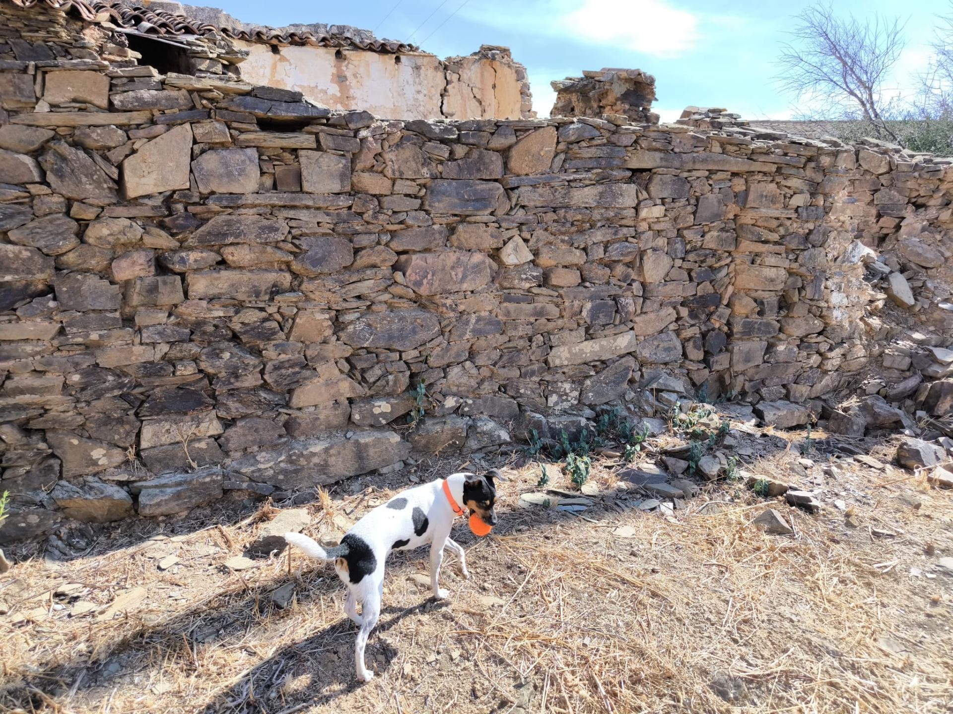 MORADIA EM PEDRA - COM TERRENO DE 200 M2 - COM PROJECTO - FAZ-FATO - TAVIRA - ALGARVE