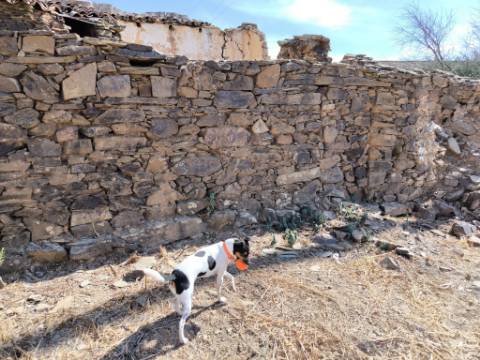 MORADIA EM PEDRA - COM TERRENO DE 200 M2 - COM PROJECTO - FAZ-FATO - TAVIRA - ALGARVE