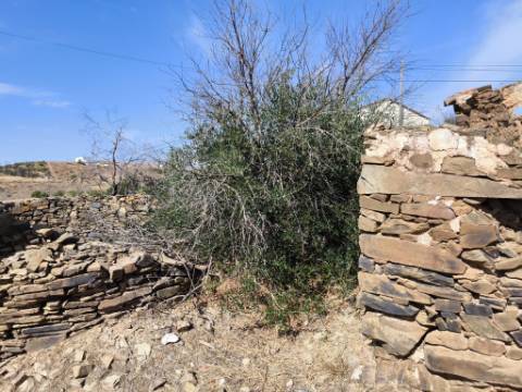 MORADIA EM PEDRA - COM TERRENO DE 200 M2 - COM PROJECTO - FAZ-FATO - TAVIRA - ALGARVE