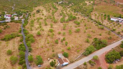 Terreno Rústico em Santa Catarina da Fonte do Bispo com 38570 m² e acessos à autoestrada.