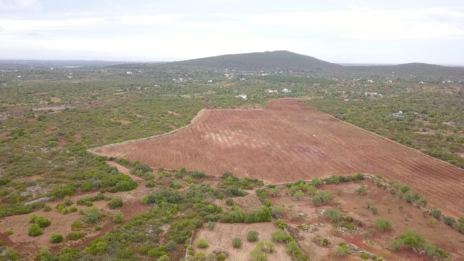 Terreno Rústico em Santa Catarina da Fonte do Bispo com 38570 m² e acessos à autoestrada.