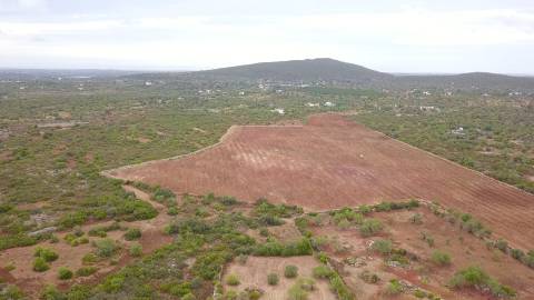 Terreno Rústico em Santa Catarina da Fonte do Bispo com 38570 m² e acessos à autoestrada.