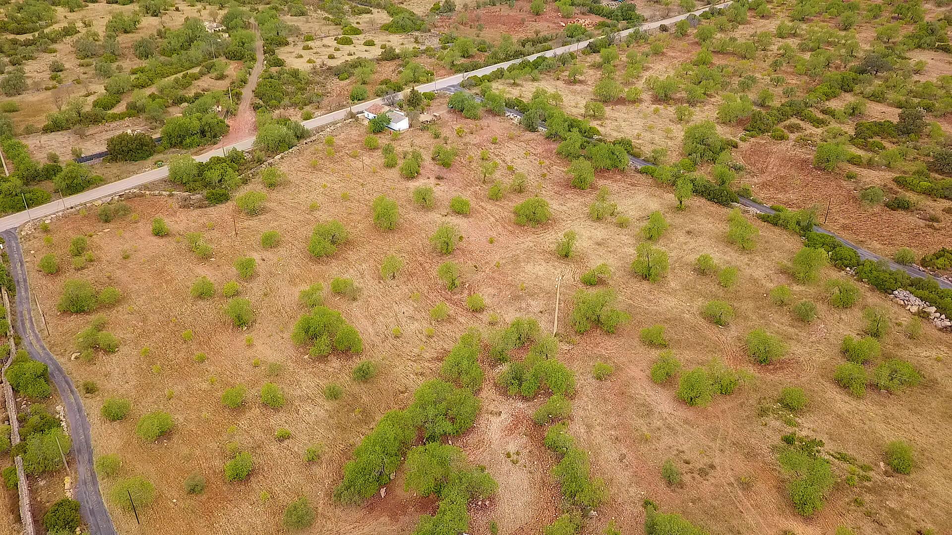 Terreno Rústico em Santa Catarina da Fonte do Bispo com 38570 m² e acessos à autoestrada.