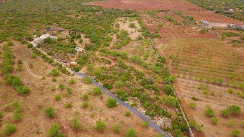Terreno Rústico em Santa Catarina da Fonte do Bispo com 38570 m² e acessos à autoestrada.