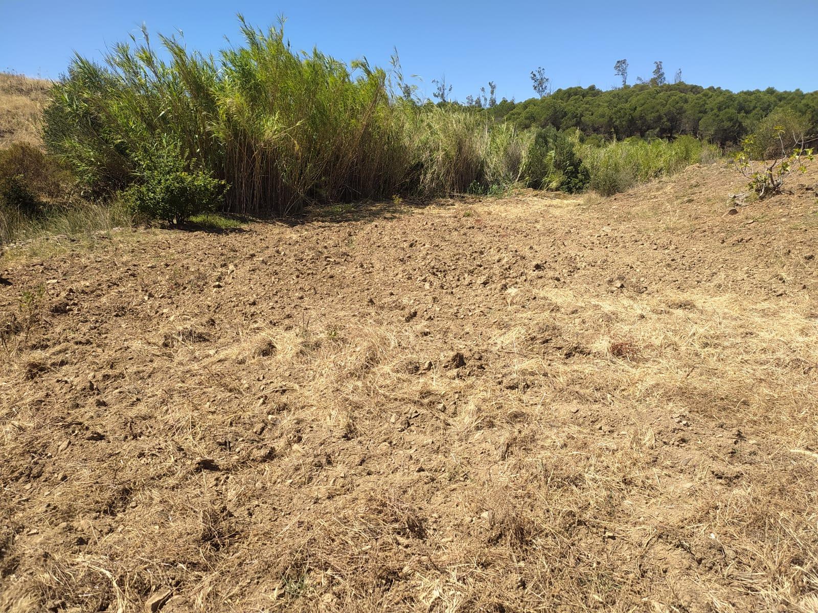 Terreno Rústico com 40000 m² com poço, Azinhal, Castro Marim