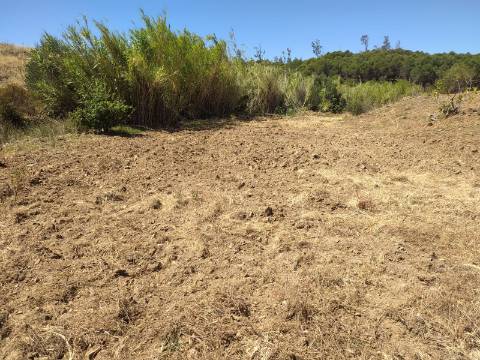 Terreno Rústico com 40000 m² com poço, Azinhal, Castro Marim