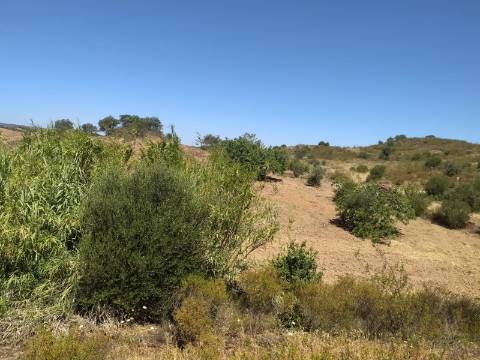 Terreno Rústico com 40000 m² com poço, Azinhal, Castro Marim