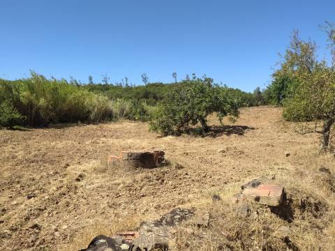 Terreno Rústico com 40000 m² com poço, Azinhal, Castro Marim