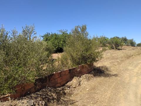 Terreno Rústico com 40000 m² com poço, Azinhal, Castro Marim