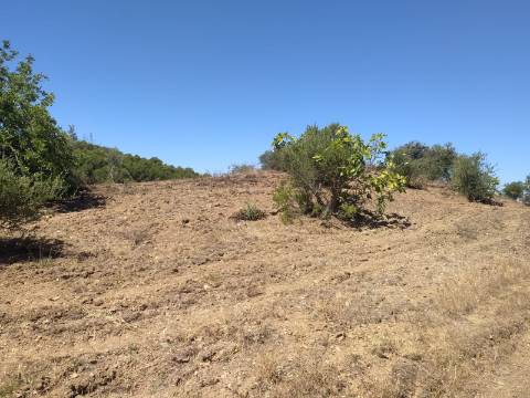 Terreno Rústico com 40000 m² com poço, Azinhal, Castro Marim