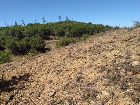Terreno Rústico com 40000 m² com poço, Azinhal, Castro Marim