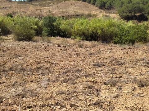 Terreno Rústico com 40000 m² com poço, Azinhal, Castro Marim